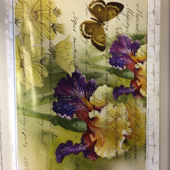 Meet your Posher, Mabel - Picture 4 of 5